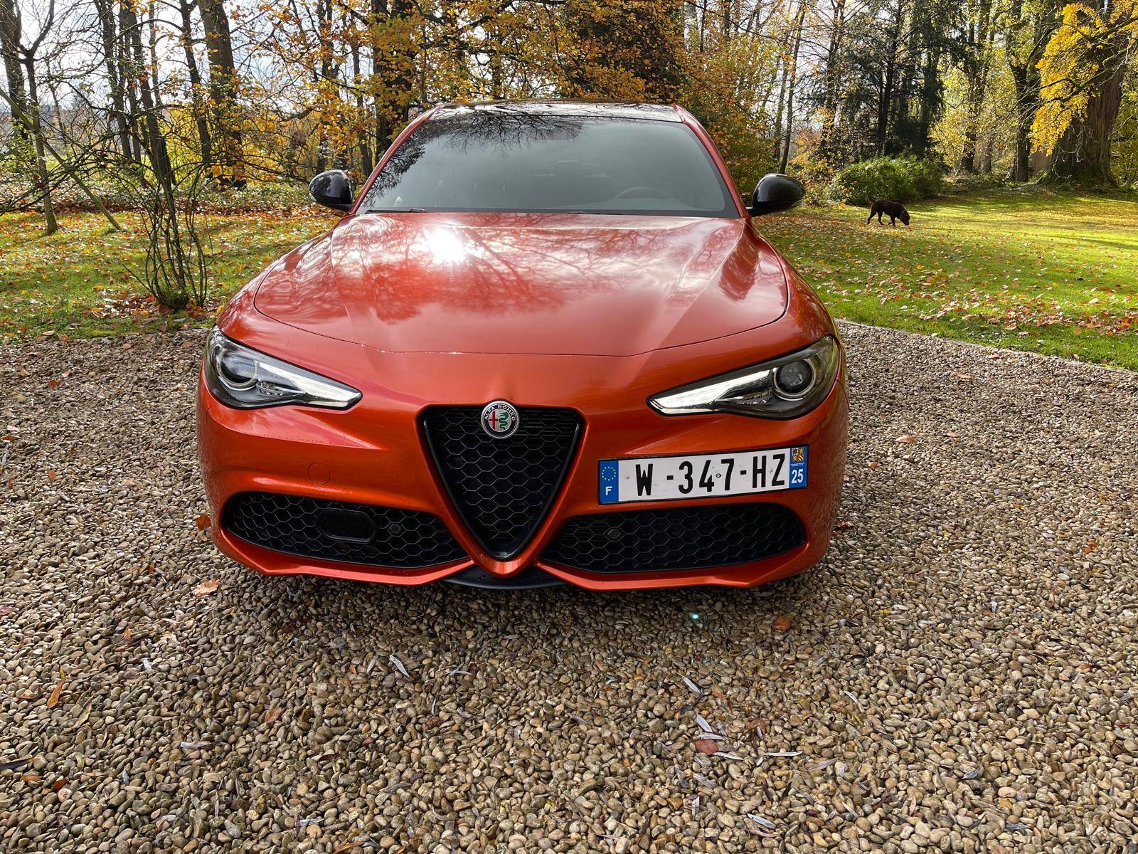 Alfa-Romeo Giulia