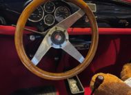 Fiat 500 GIANNINI TV